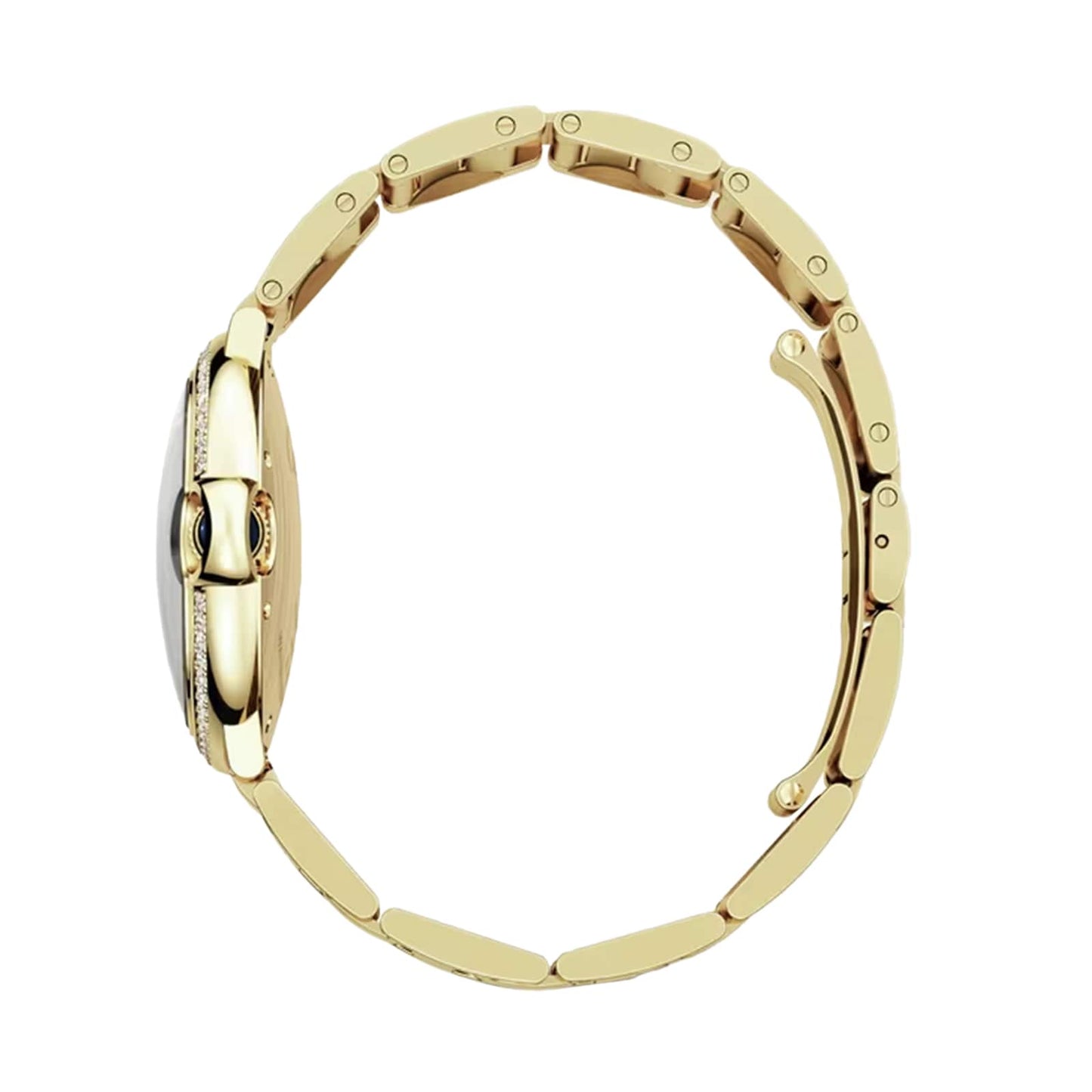 Ballon Bleu de Cartier