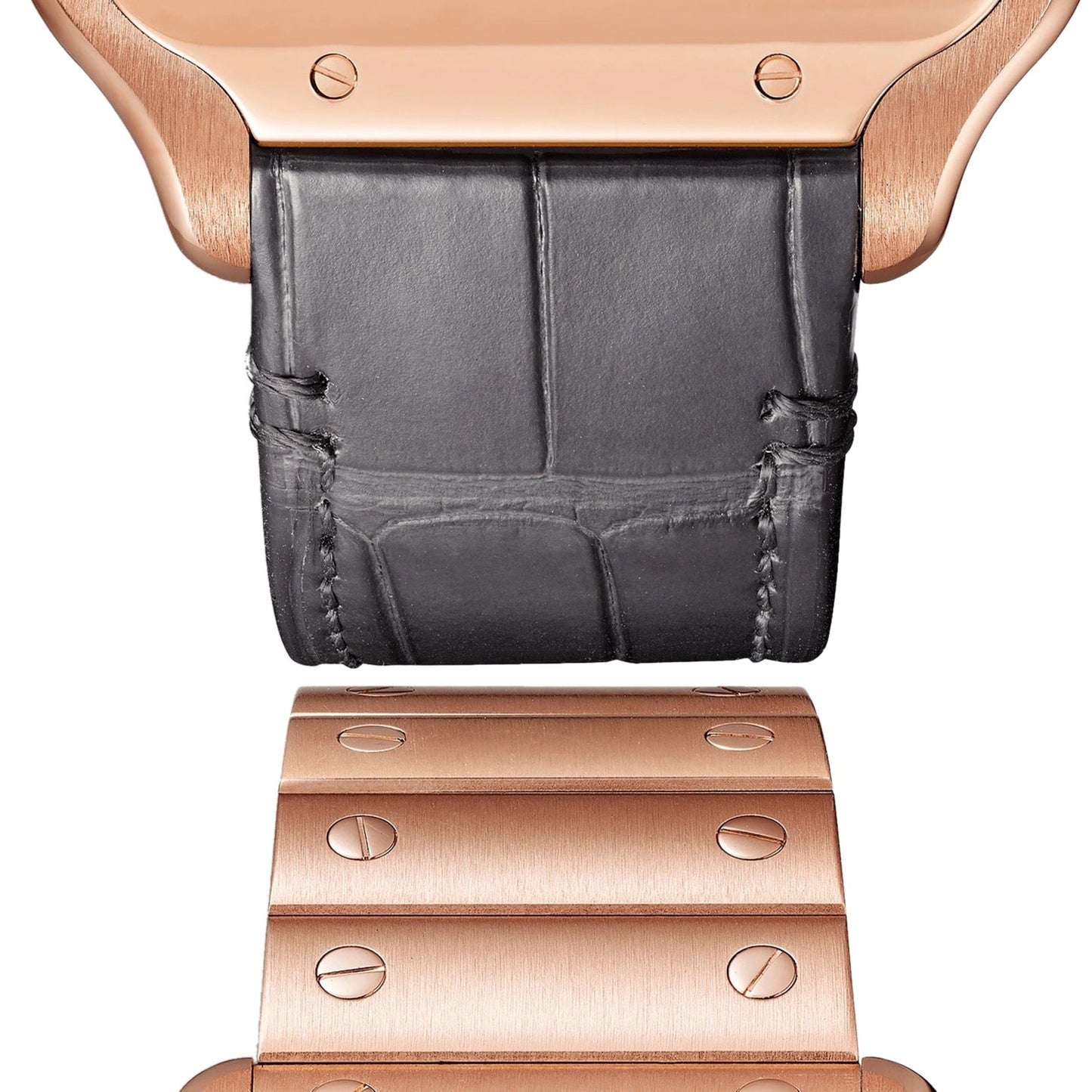 Santos de Cartier Skeleton