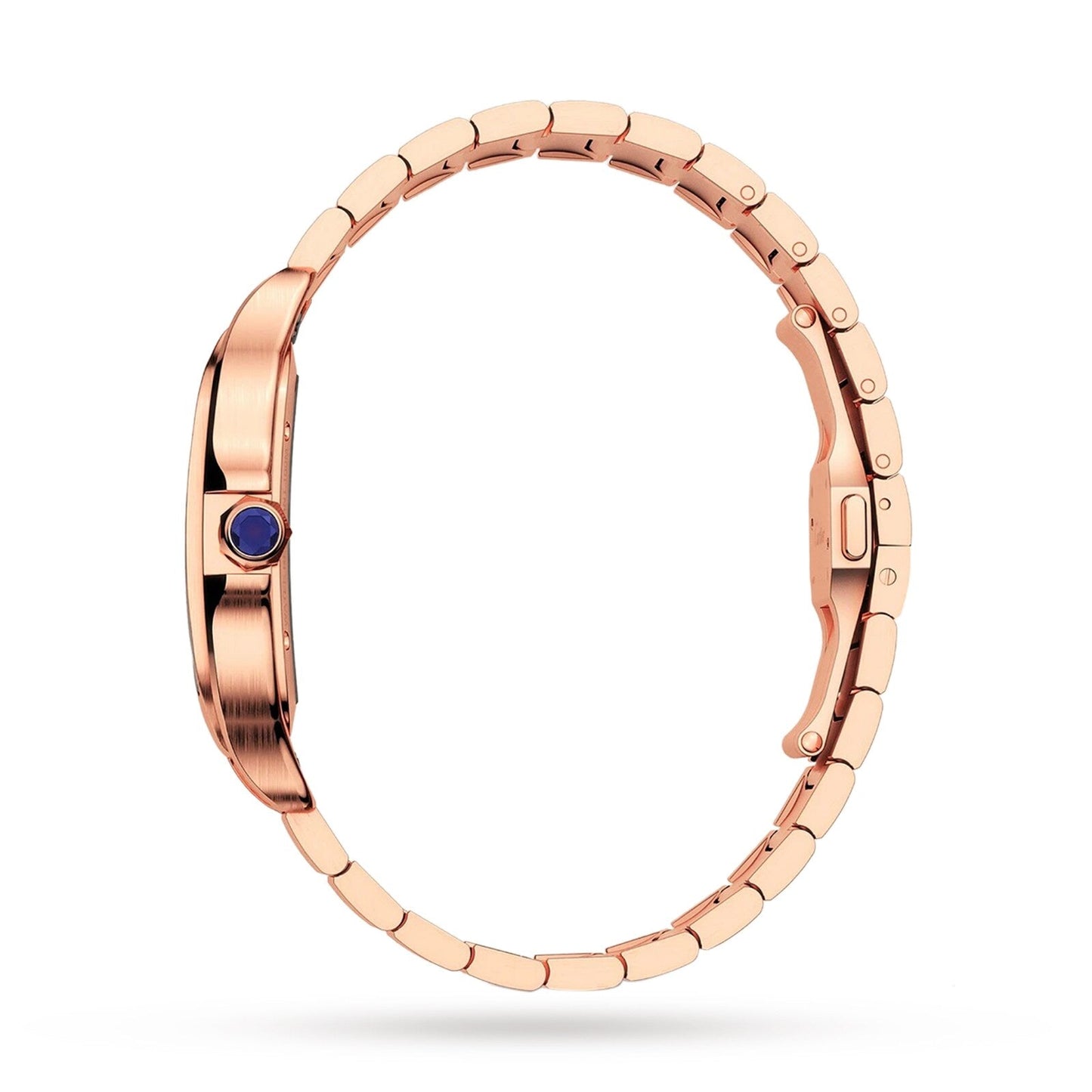 Santos de Cartier Skeleton