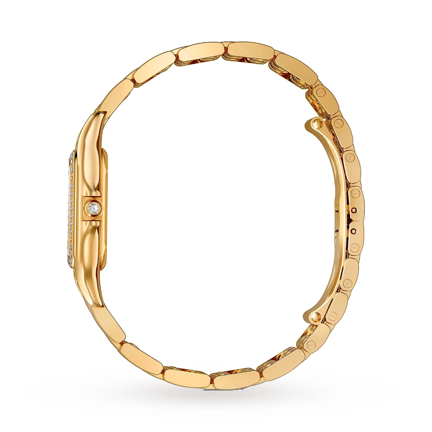 Panthère de Cartier