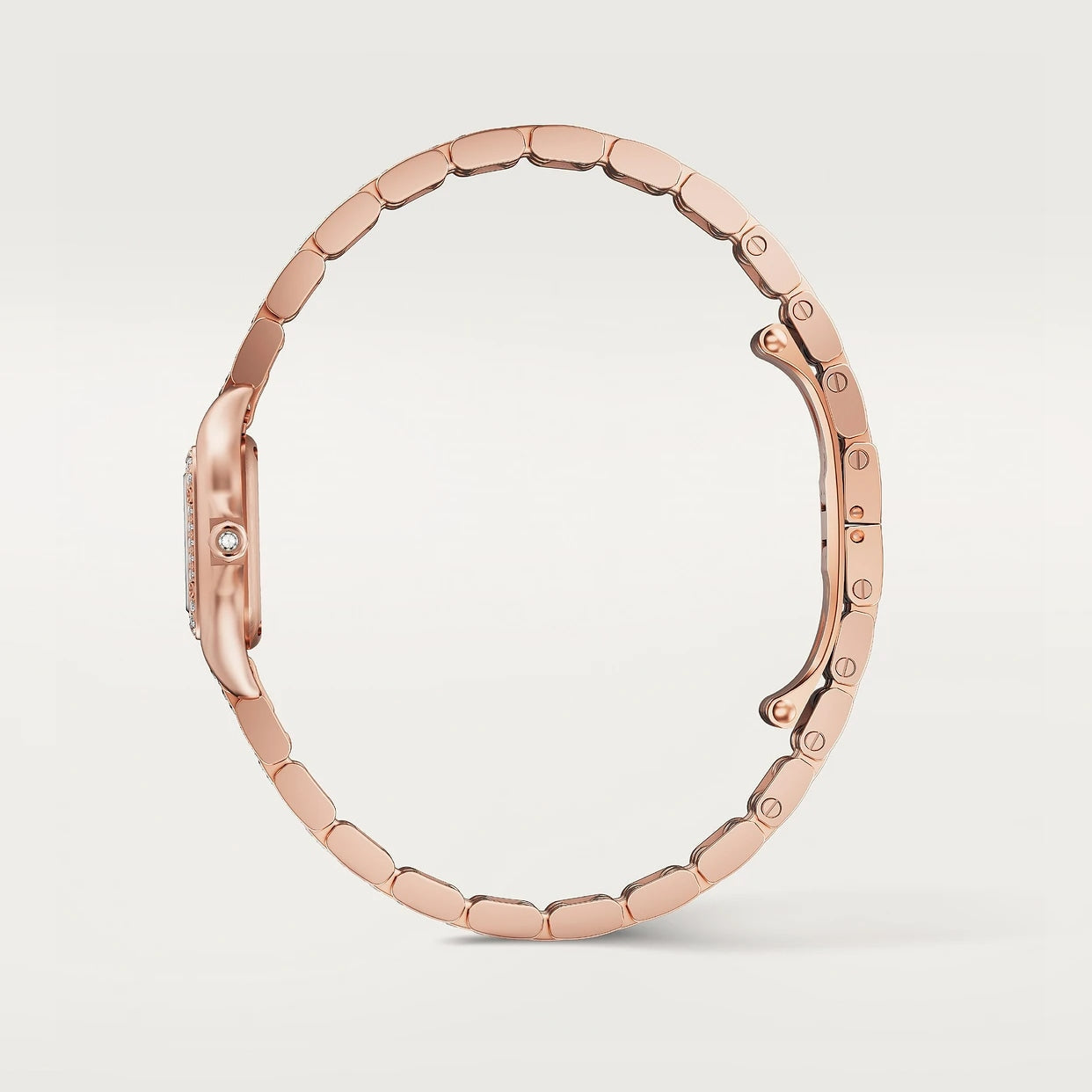 Panthère De Cartier Watch