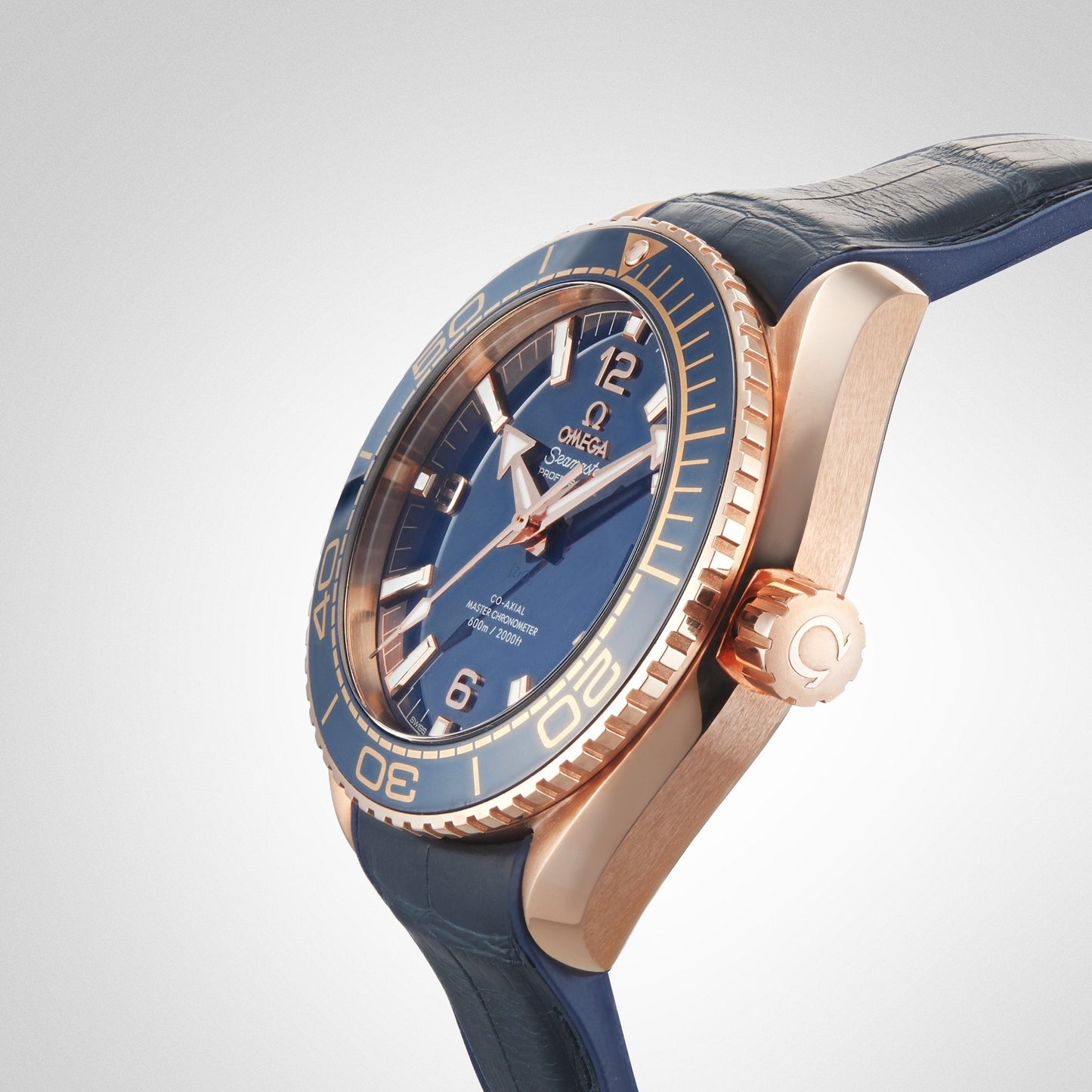 Seamaster Planet Ocean 600M