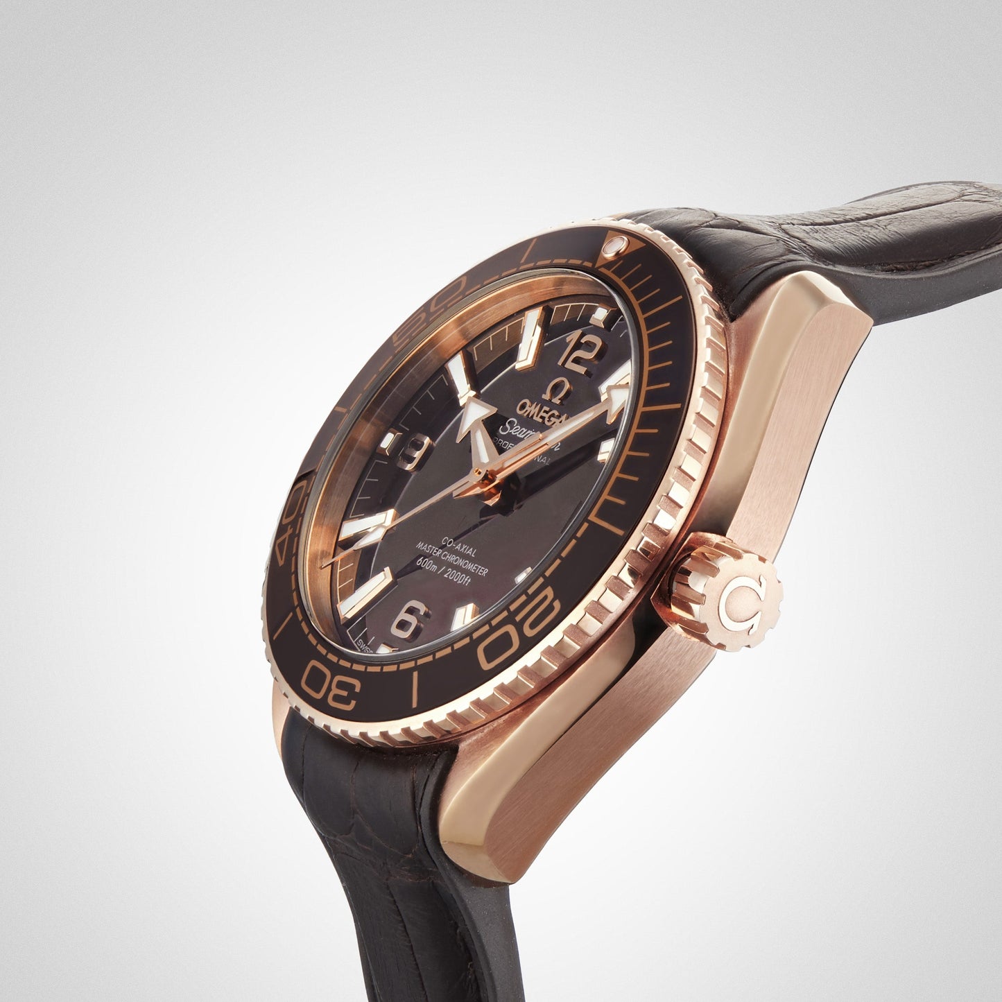 Seamaster Planet Ocean 600M
