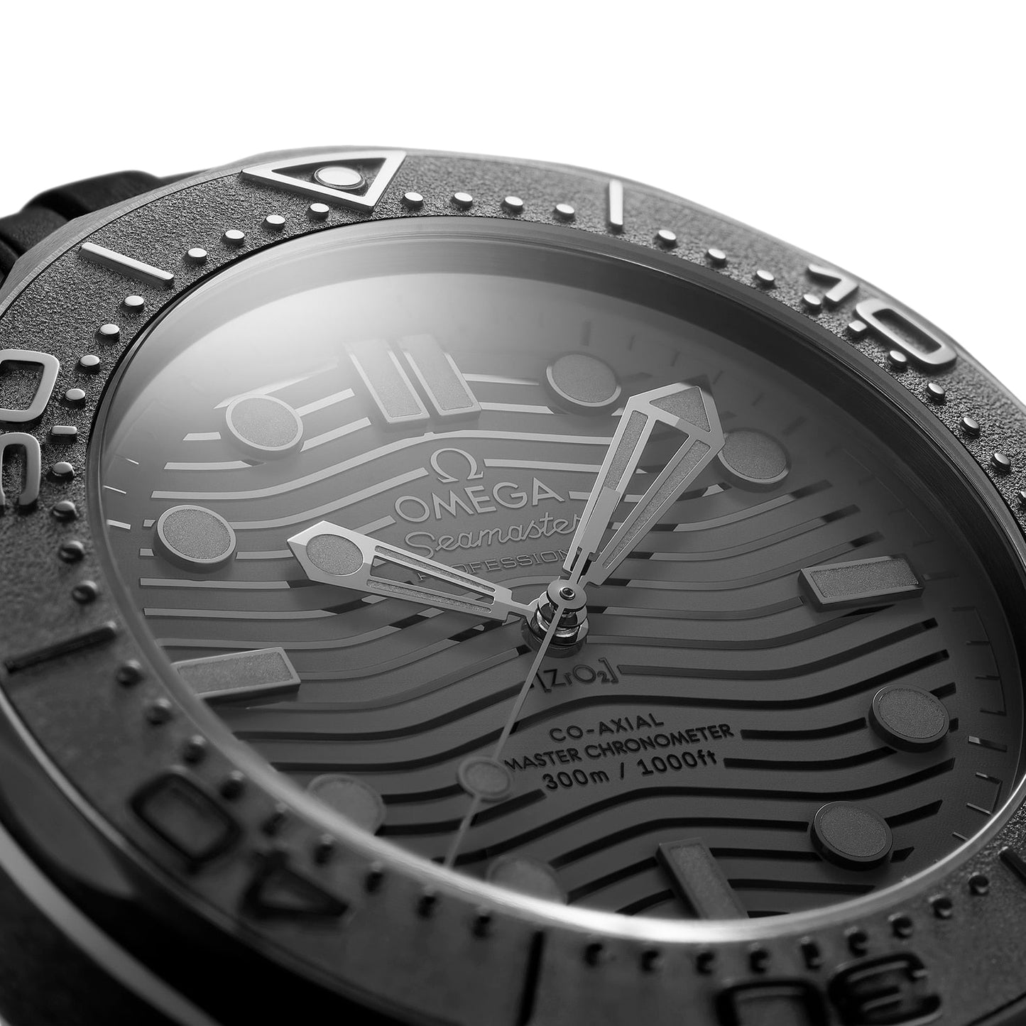 Seamaster Diver 300M Black Black Edition