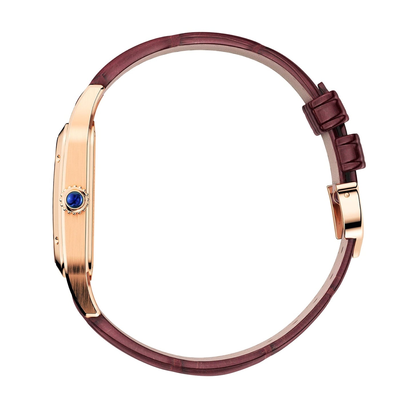 Santos-Dumont Skeleton with Micro-Rotor