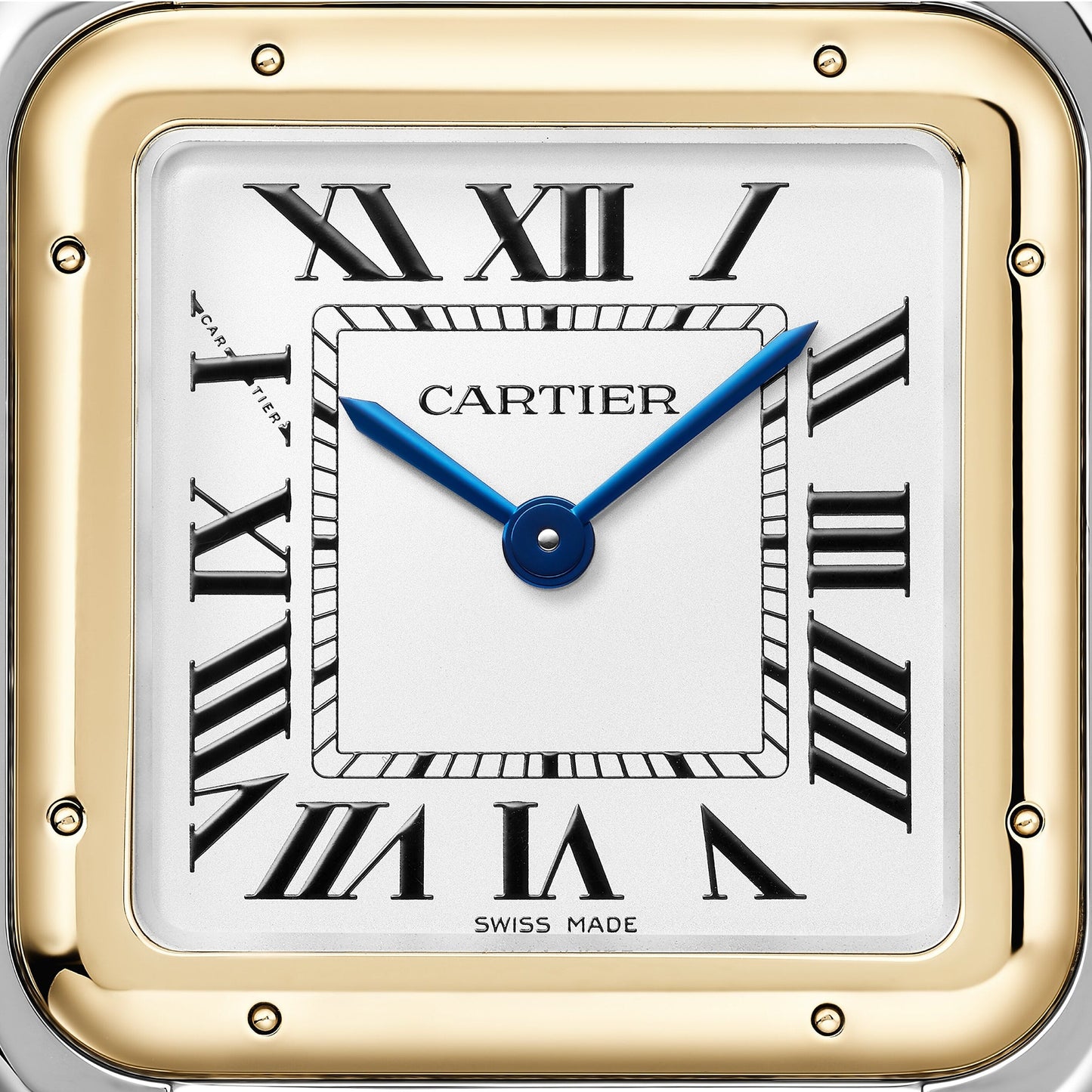Panthère de Cartier