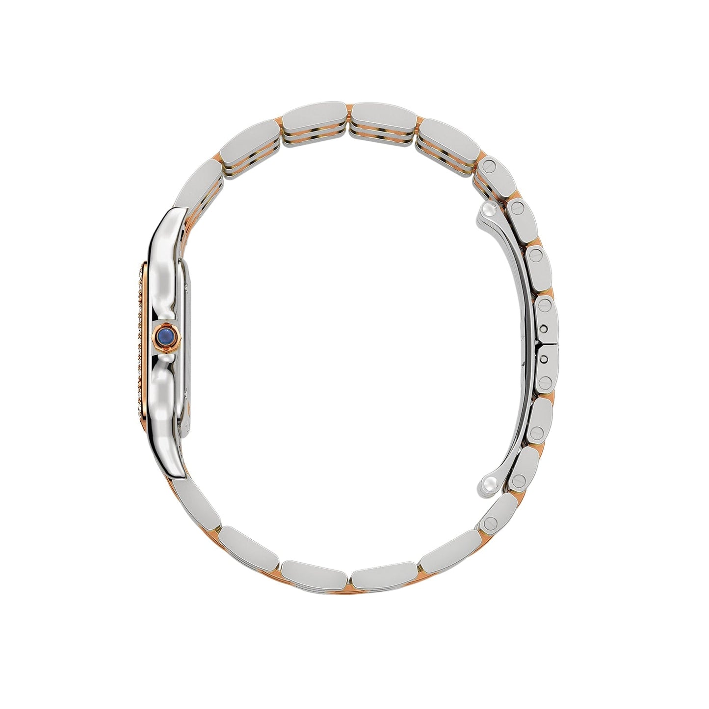 Panthère de Cartier