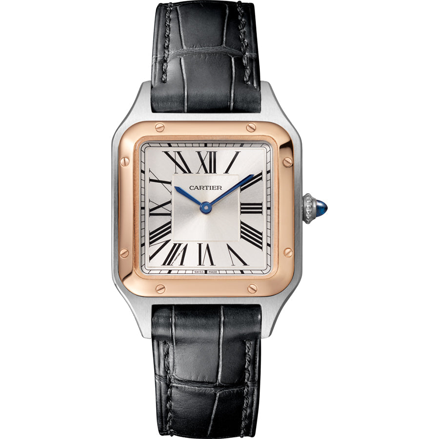 Cartier Santos Dumont 38mm Quartz W2SA0012 Silver Dial
