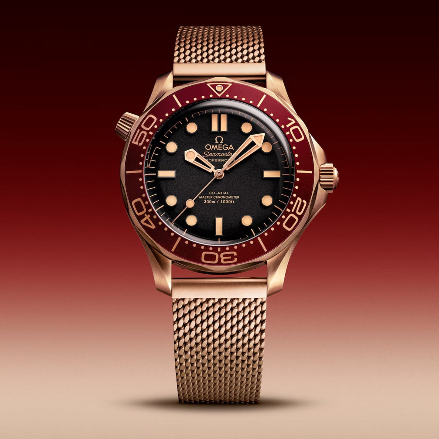 Seamaster Diver 300M