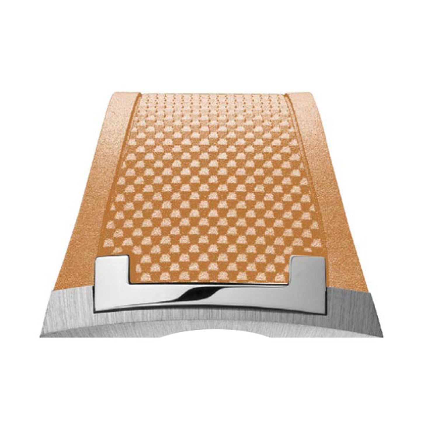 Antarctique Passage de Drake Salmon S