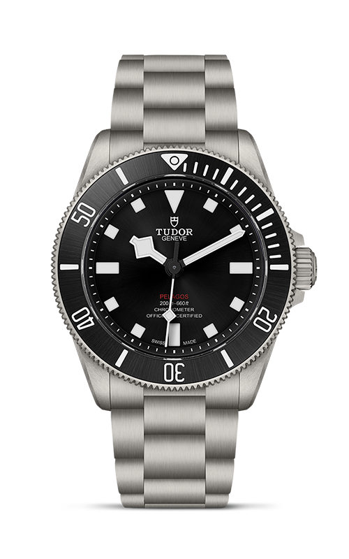 Tudor Pelagos 39 mm Black Dial Titanium Bracelet M25407N-0001