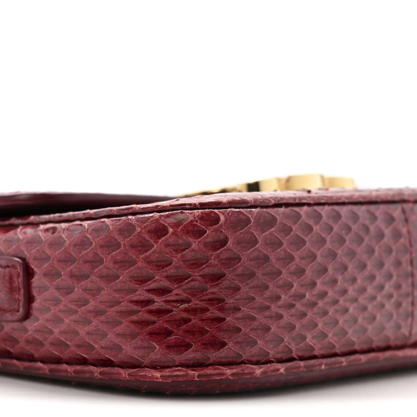 Watersnake Teen Triomphe Ruby