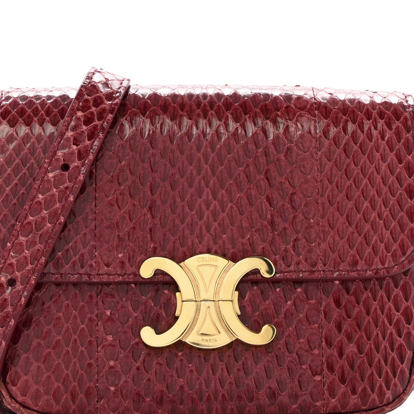 Watersnake Teen Triomphe Ruby