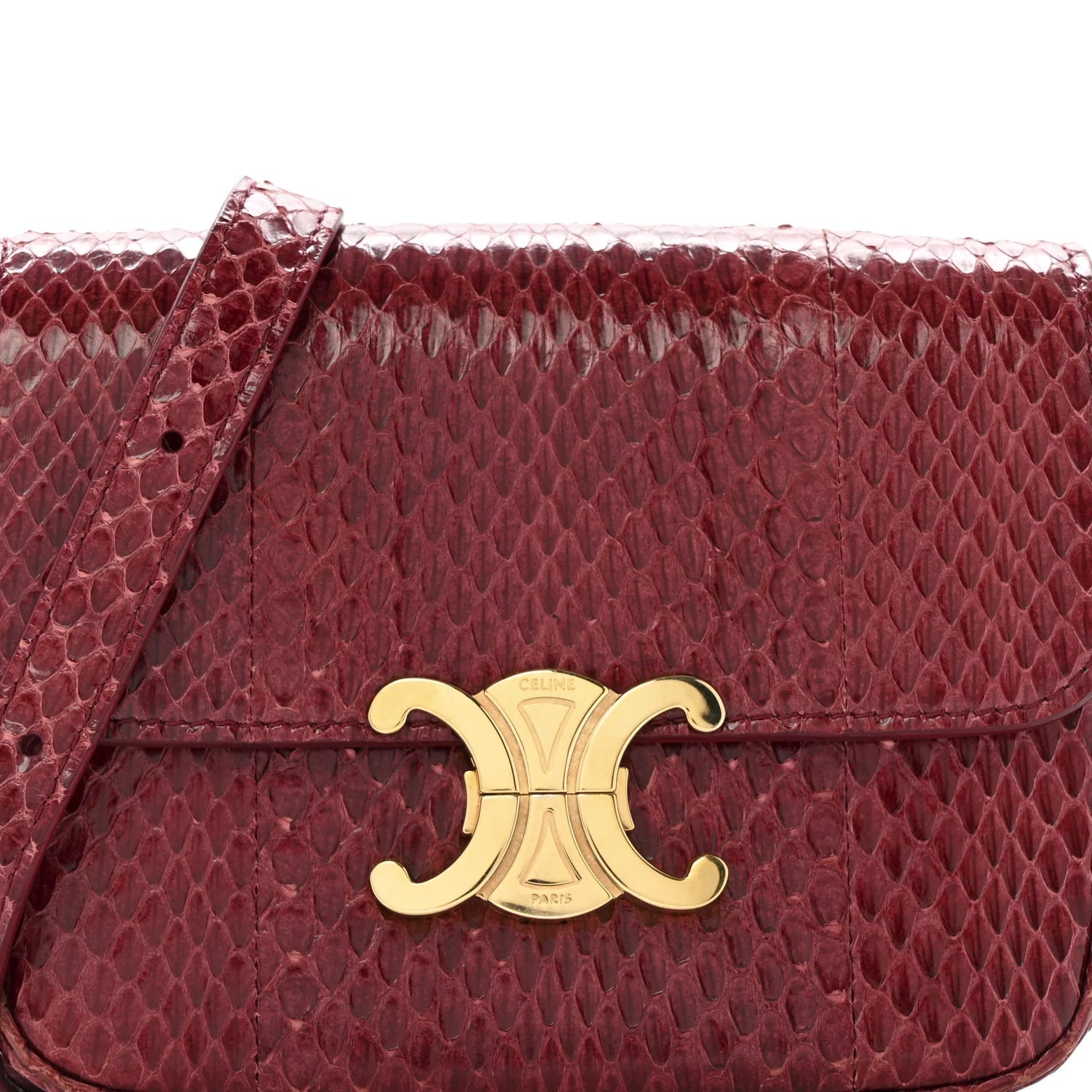 Watersnake Teen Triomphe Ruby