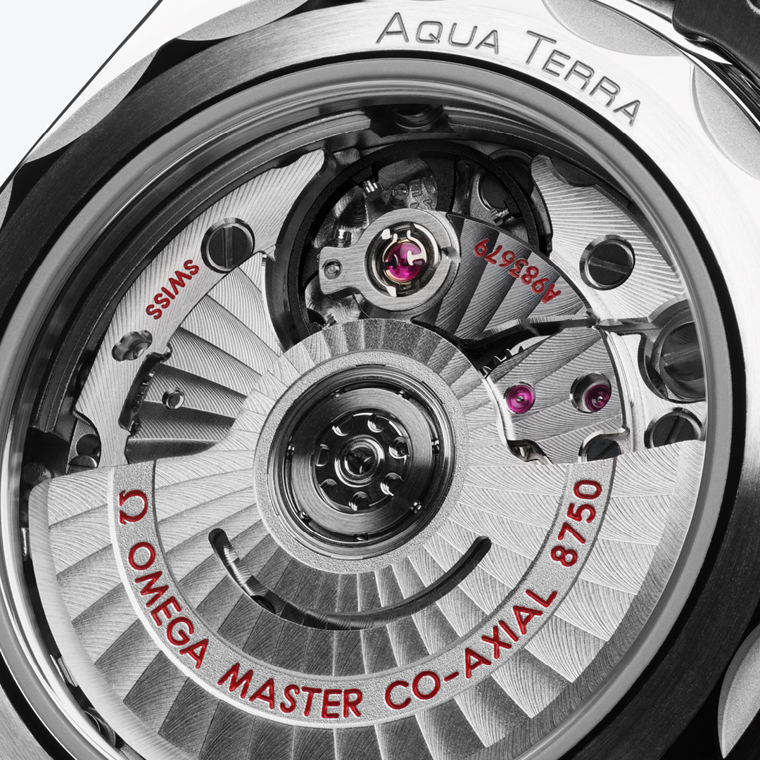 Seamaster Aqua Terra 150M