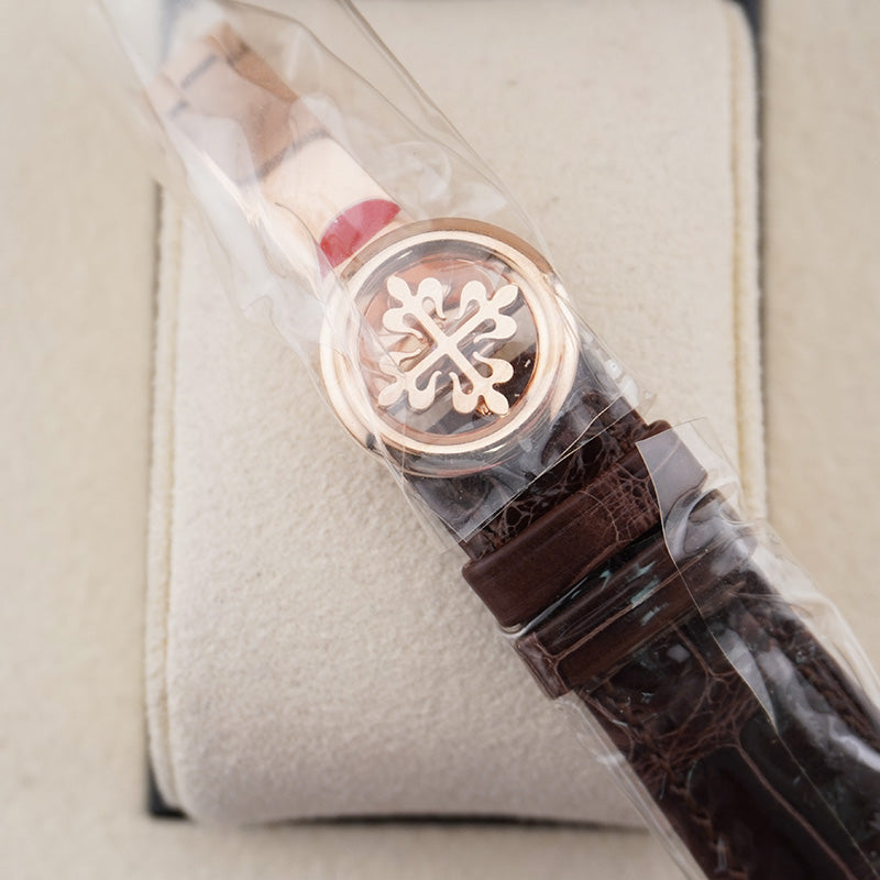 Patek Philippe World Time Complication 40mm 5531R Cloisonné Enamel Center Lavaux Landscape Dial