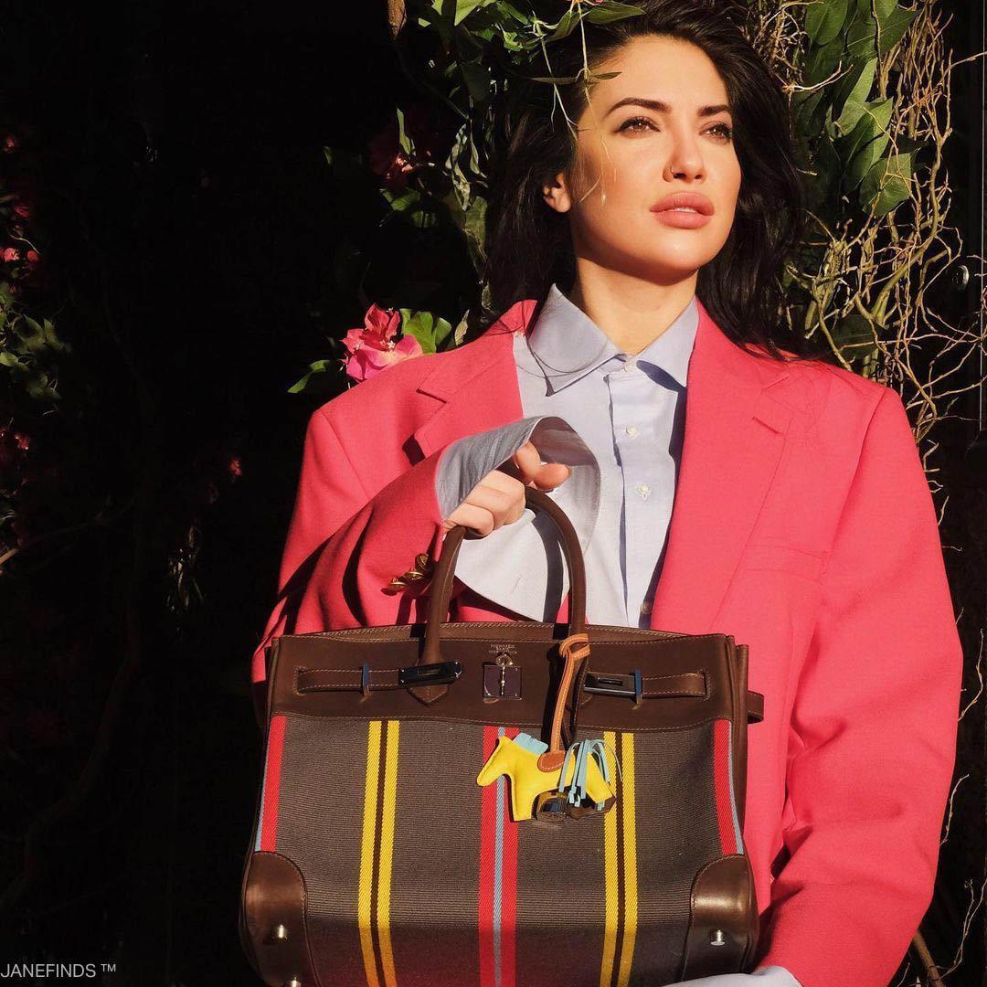 Hermès Jumping Birkin 35 Multicolor Canvas and Ebene Box Palladium Hardware