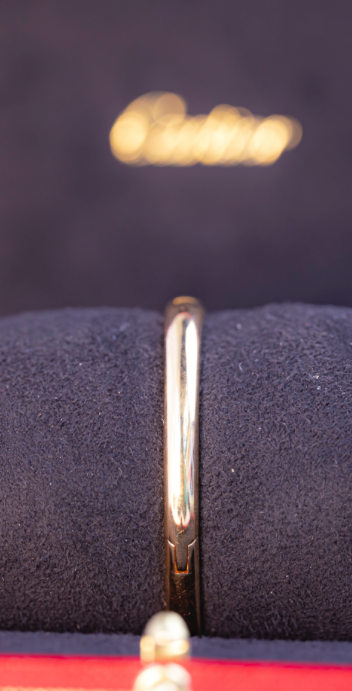 Cartier Baignoire Mini 24.6 mm x 18.7 mm Silver Dial 18k Yellow Gold Bracelet WGBA0044