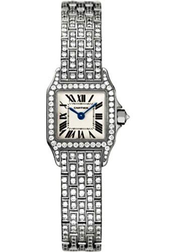 Cartier Santos Demoiselle Watch WF9005YA