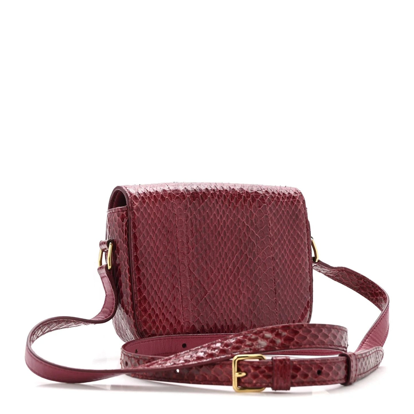 Watersnake Teen Triomphe Ruby