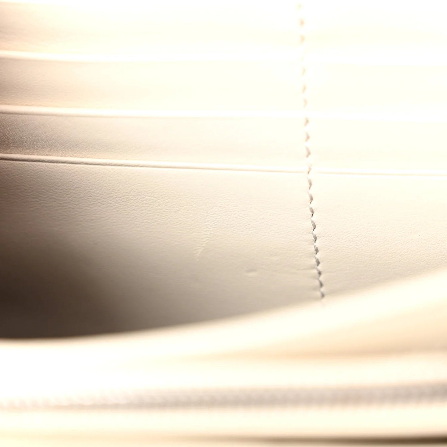 Watersnake Mini Dionysus Chain Wallet