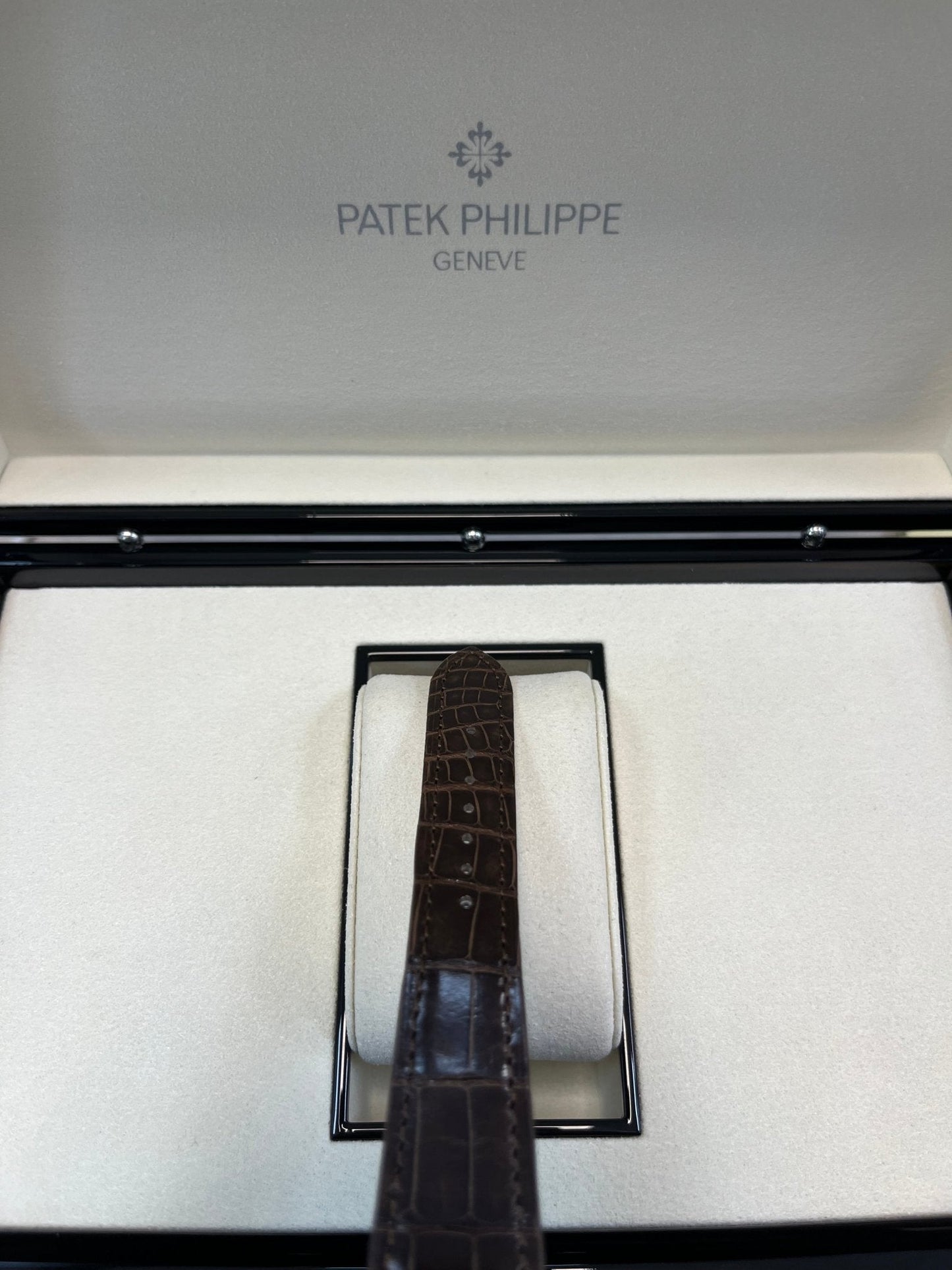 Patek Philippe Calatrava New 2025 Release 6196P Calatrava Salmon Dial Platinum