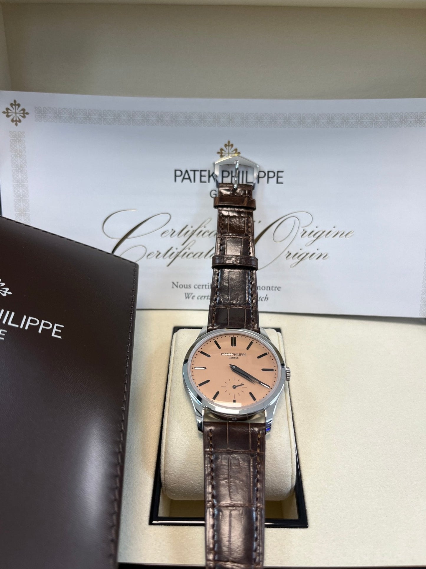 Patek Philippe Calatrava New 2025 Release 6196P Calatrava Salmon Dial Platinum