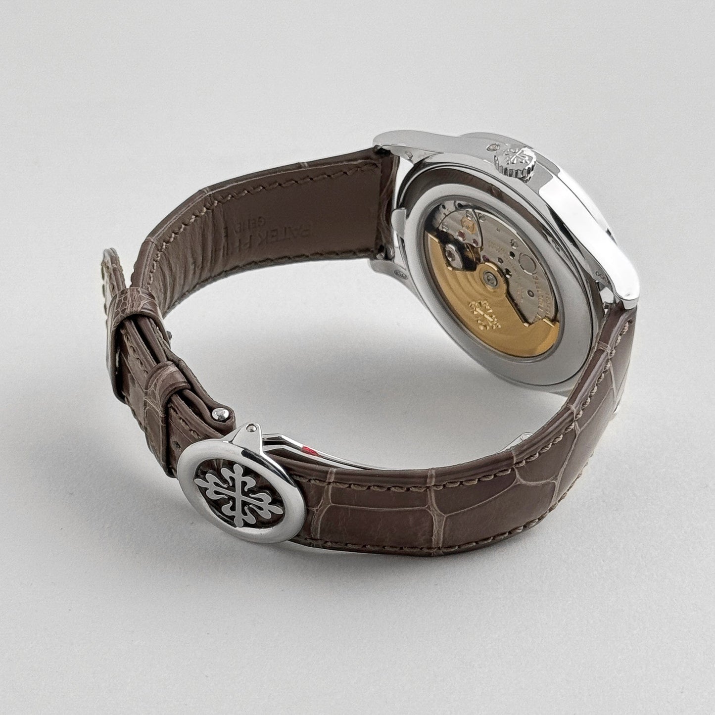 Patek Philippe Grand Complications 5496P-015 Perpetual Calendar Moon Phases Platinum Silver Dial (2018)