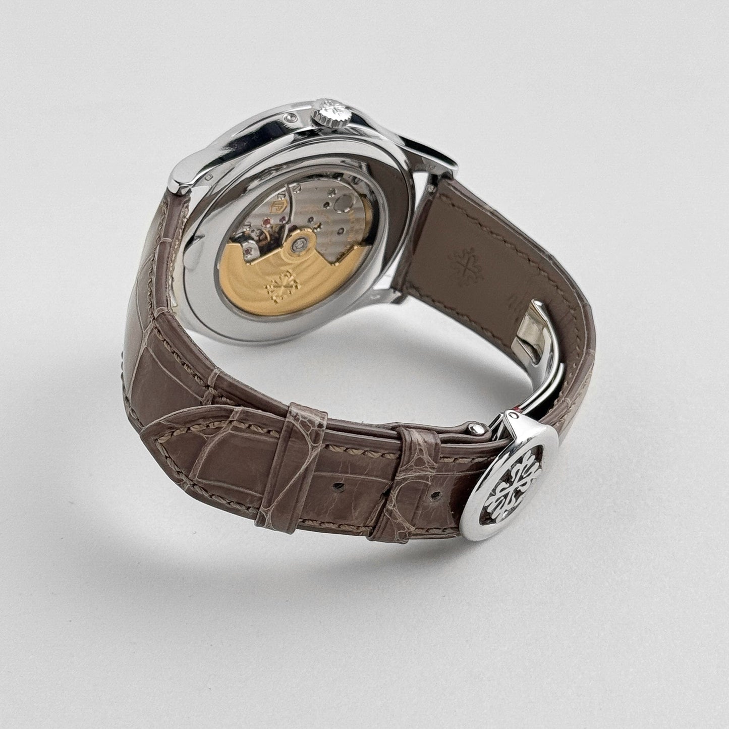 Patek Philippe Grand Complications 5496P-015 Perpetual Calendar Moon Phases Platinum Silver Dial (2018)