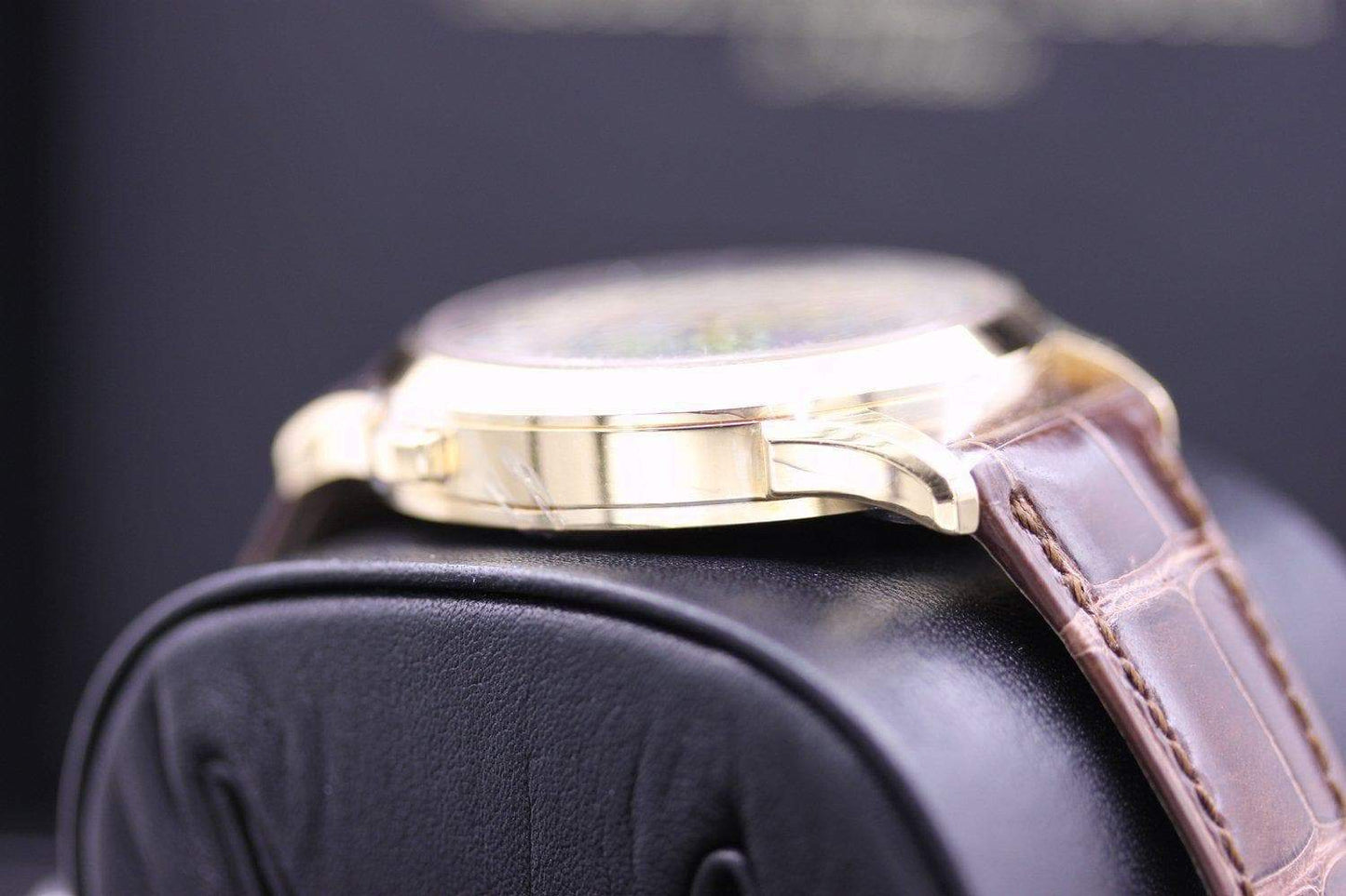 Patek Philippe World Time Complication 38mm 5231J World Dial