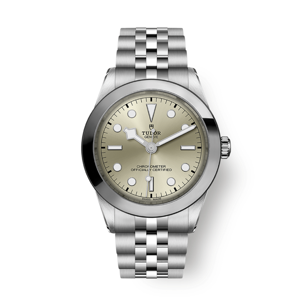 Tudor Black Bay 39 mm Grey Dial Stainless Steel Bracelet M79660-0003