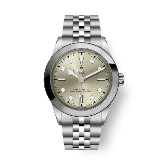 Tudor Black Bay 39 mm Grey Dial Stainless Steel Bracelet M79660-0003