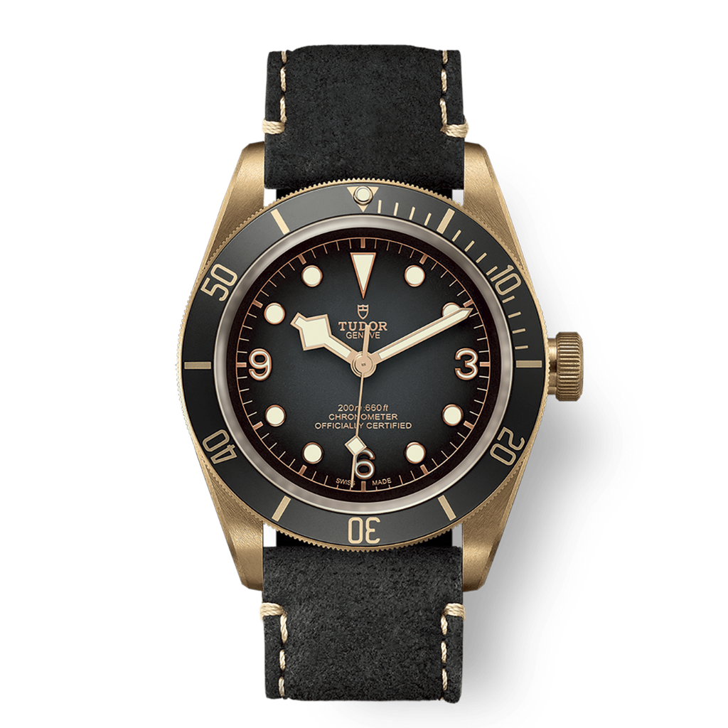 Tudor Black Bay Bronze 43 mm Slate Grey Dial Bronze Leather Strap M79250BA-0001